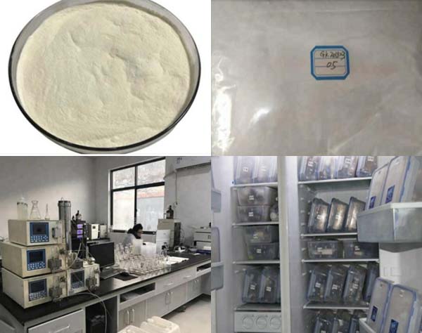 Lapatinib base CAS 231277-92-2