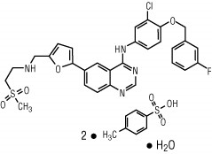 Lapatinib-base