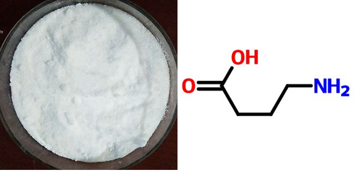 4-Aminobutyric acid